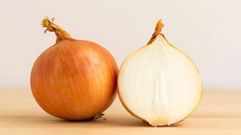 Khả năng hỗ trợ giải độc gan của loại củ trong bếp nhà nào cũng có