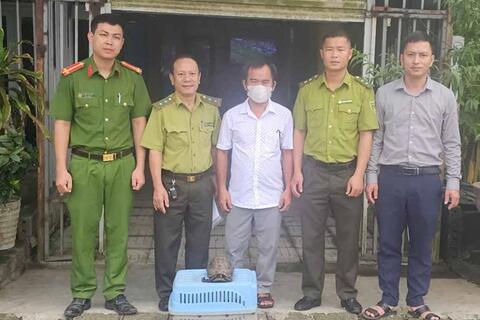 Bàn giao cá thể rùa núi vàng quý hiếm để thả về Vườn Quốc gia Vũ Quang