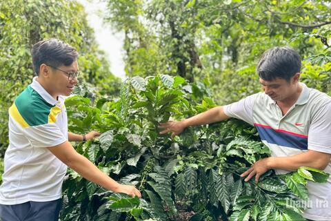 "Thủ phủ" Đắk Lắk làm gì để nâng tầm hạt cà phê Việt?