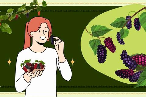 Cách thải độc thận đơn giản tại nhà