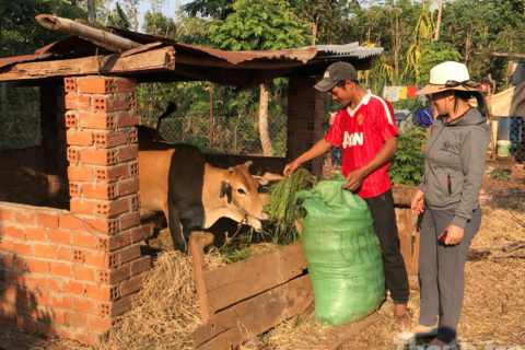 Đắk Lắk: Sức mạnh đại đoàn kết từ chính sách dân tộc - tôn giáo