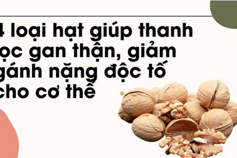 4 loại hạt giúp thanh lọc gan thận, giảm gánh nặng độc tố cho cơ thể
