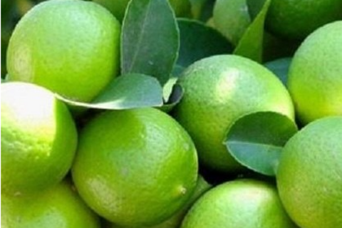 Cách đào thải axit uric vào mùa lạnh