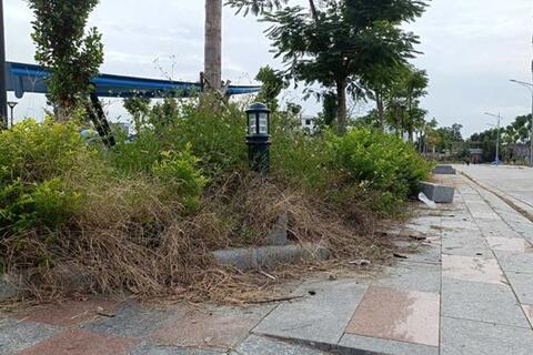 Công viên gần 135 tỉ đồng ở Hải Phòng nhếch nhác sau 5 tháng gắn biển