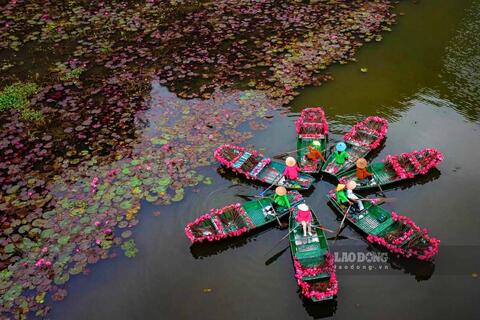 Vi vu Ninh Bình check-in mùa hoa súng nở rực Tam Cốc