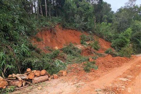 Sau nhiều giờ tê liệt, đèo Gia Bắc ở Lâm Đồng đã thông tuyến trở lại