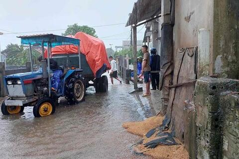 Người dân dùng máy cày vận chuyển lúa chạy lụt trong mưa lớn