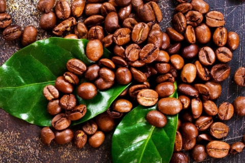 Giá cà phê hôm nay 11.11: Tăng nhẹ, tiếp tục neo ở mức cao