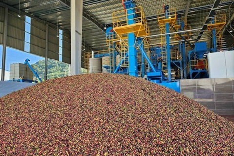 Sắp khởi công dự án sản xuất, chế biến nông sản vốn đầu tư gần 500 tỷ tại Lâm Đồng