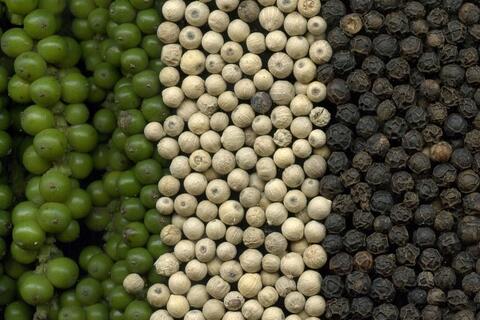 Giá tiêu hôm nay 14/11/2025: Đà giảm kéo dài trước mùa cao điểm