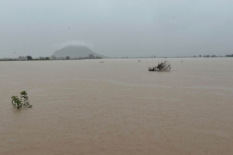 Nước lũ uy hiếp, Gia Lai sơ tán hàng trăm hộ dân