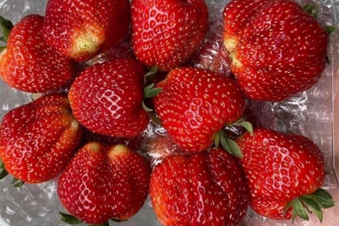 Những loại quả nên dùng nếu muốn bổ sung vitamin C