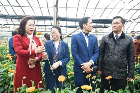 Phát huy vai trò nông dân Thủ đô trong nông nghiệp xanh