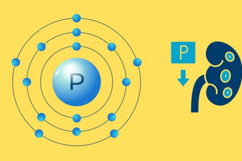 Lý do cơ thể cần phốt pho để duy trì sức khỏe