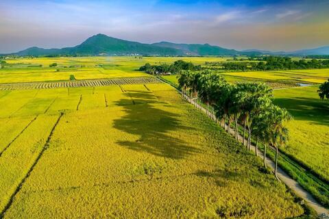 "Đòn bẩy" cho nông nghiệp xanh
