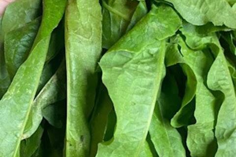 Loại rau ít được để ý lại có thể hỗ trợ giải độc gan, giúp ngủ ngon hơn