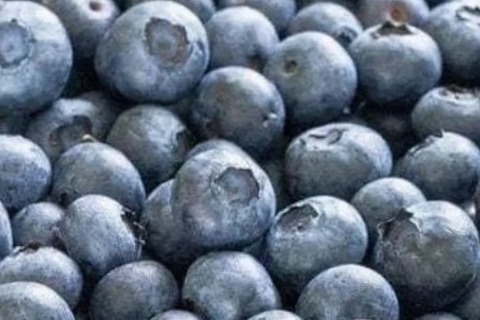 Mẹo tăng cường sức khỏe thận nhờ quả việt quất