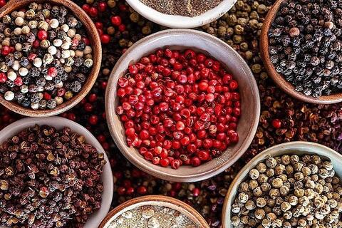 Giá tiêu hôm nay 15/12: Bình ổn ở 150.500 đồng/kg trước đợt sóng mới