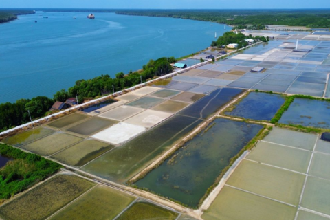 Người dân Thiềng Liềng làm du lịch và hành trình tìm vị ngọt trên ruộng muối