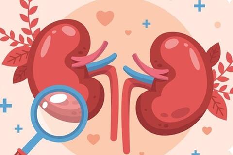 Phòng sỏi thận tự nhiên nhờ lựa chọn đồ uống đúng cách