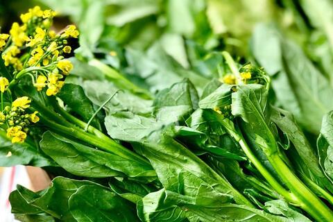 Thanh lọc gan, giải độc bằng loại rau đang vào mùa