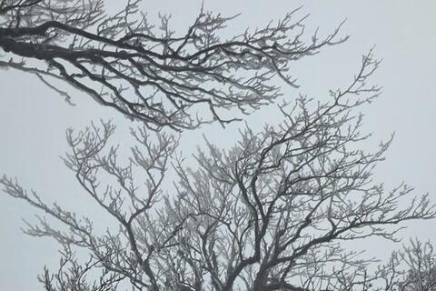 Rét hại bao trùm, thấp nhất chỉ còn 2 độ C, Mẫu Sơn tiệm cận ngưỡng băng giá