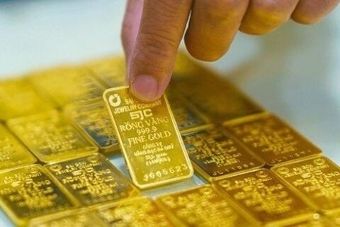 Giá vàng hôm nay 8/1/2026: Giá vàng miếng, vàng nhẫn trong nước và giá vàng thế giới