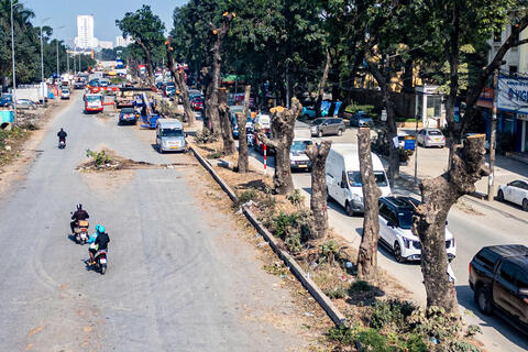 Hà Nội đốn hạ, di dời loạt cây xanh mở rộng đường huyết mạch lên 40-50m