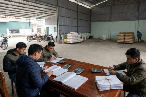 Giá tiêu hôm nay 20/1: Đà giảm lan rộng, thị trường "nghỉ Tết" sớm