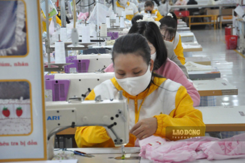 Doanh nghiệp Lào Cai công bố thưởng Tết 2026, cao nhất 64,6 triệu đồng