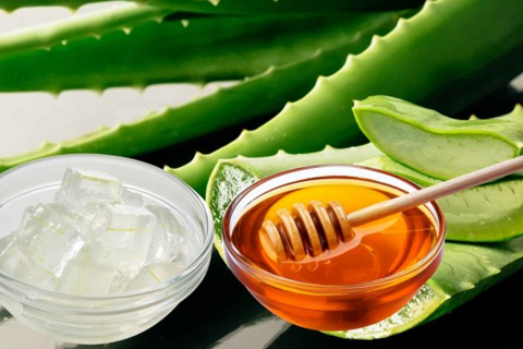 Cách làm nha đam mật ong giải nhiệt, làm đẹp da hiệu quả tại nhà