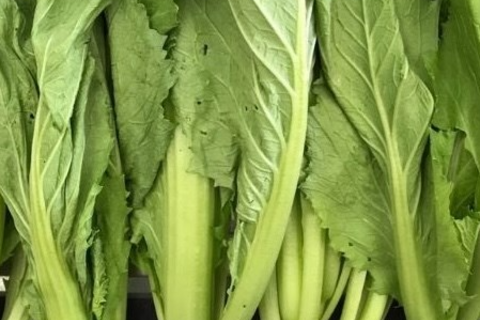 Cải bẹ xanh tốt cho thị lực: Người lao động ngành nào nên tận dụng?