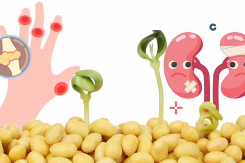 Người bệnh thận, tăng axit uric cần lưu ý khi dùng giá đỗ