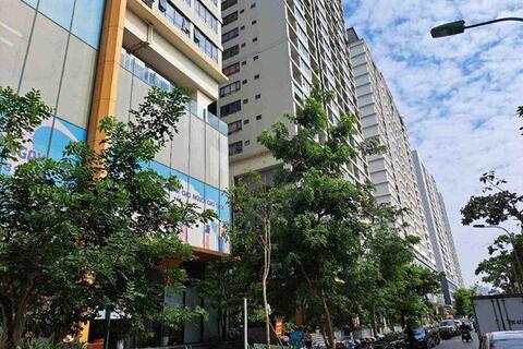 Giá chung cư tăng quá cao, dự báo thị trường hạ nhiệt trong 2026