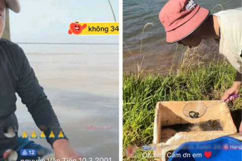 Thả cá chép online nở rộ trong ngày ông Công ông Táo