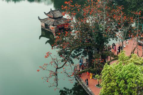 Mùa hoa gạo như thắp lửa từ phố thị đến làng quê ngoại ô Hà Nội