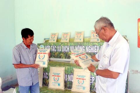 Doanh nghiệp ĐBSCL tăng liên kết, tối ưu chi phí