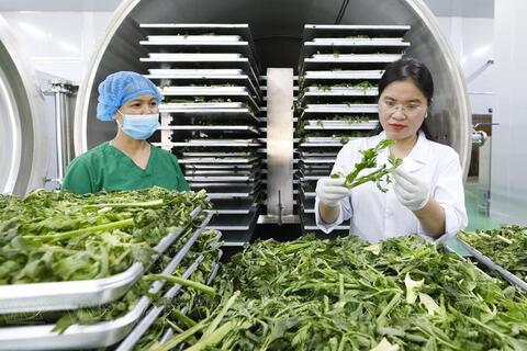 Xuất khẩu nông sản Hà Nội: Mở đường từ giá trị, định vị bằng chất lượng