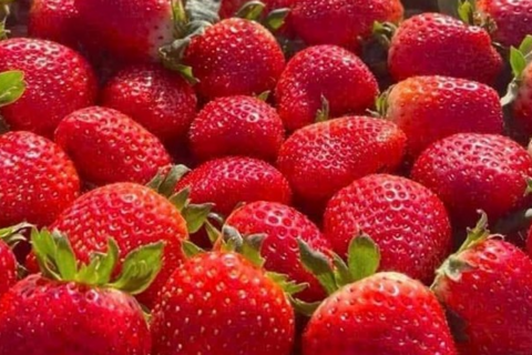 Cách chọn loại trái cây làm da đẹp nhất