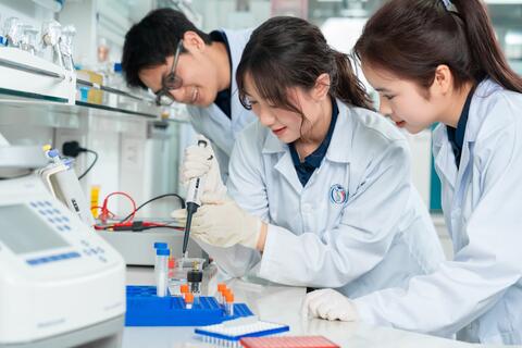 Bộ Giáo dục và Đào tạo nói gì về giải nhất khoa học kỹ thuật học sinh bị tố giống luận án tiến sĩ?