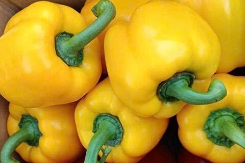 Giảm mỡ bụng bằng ớt chuông vàng