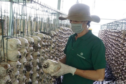 Đắk Lắk: Tăng lực cho doanh nghiệp nhỏ và vừa