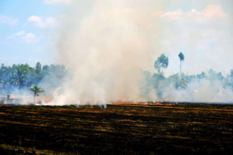 Đốt đồng sau thu hoạch và hệ lụy từ những đốm đỏ chằng chịt trên bản đồ vệ tinh