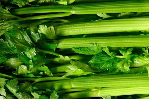 Giải nhiệt, thanh lọc cơ thể bằng loại rau hay dùng để giảm cân