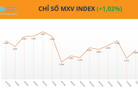 Sắc xanh lan tỏa, MXV-Index vượt ngưỡng 2.800 điểm