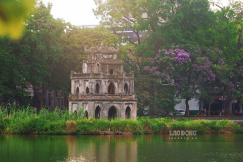 Ngắm hoa bằng lăng nở rộ, phủ tím phố phường Hà Nội