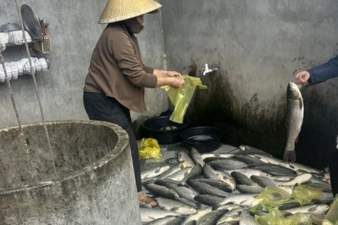 Diễn biến mới về vụ cá chết hàng loạt trên sông Lam