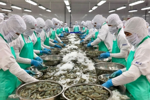 Ngành tôm tái cấu trúc chuỗi giá trị trước áp lực cạnh tranh