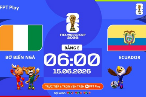 Link xem trực tiếp bóng đá Bờ Biển Ngà vs Ecuador tại World Cup 2026