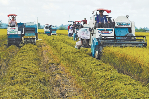 Nông nghiệp phát thải thấp mở đường nâng giá trị nông sản Việt